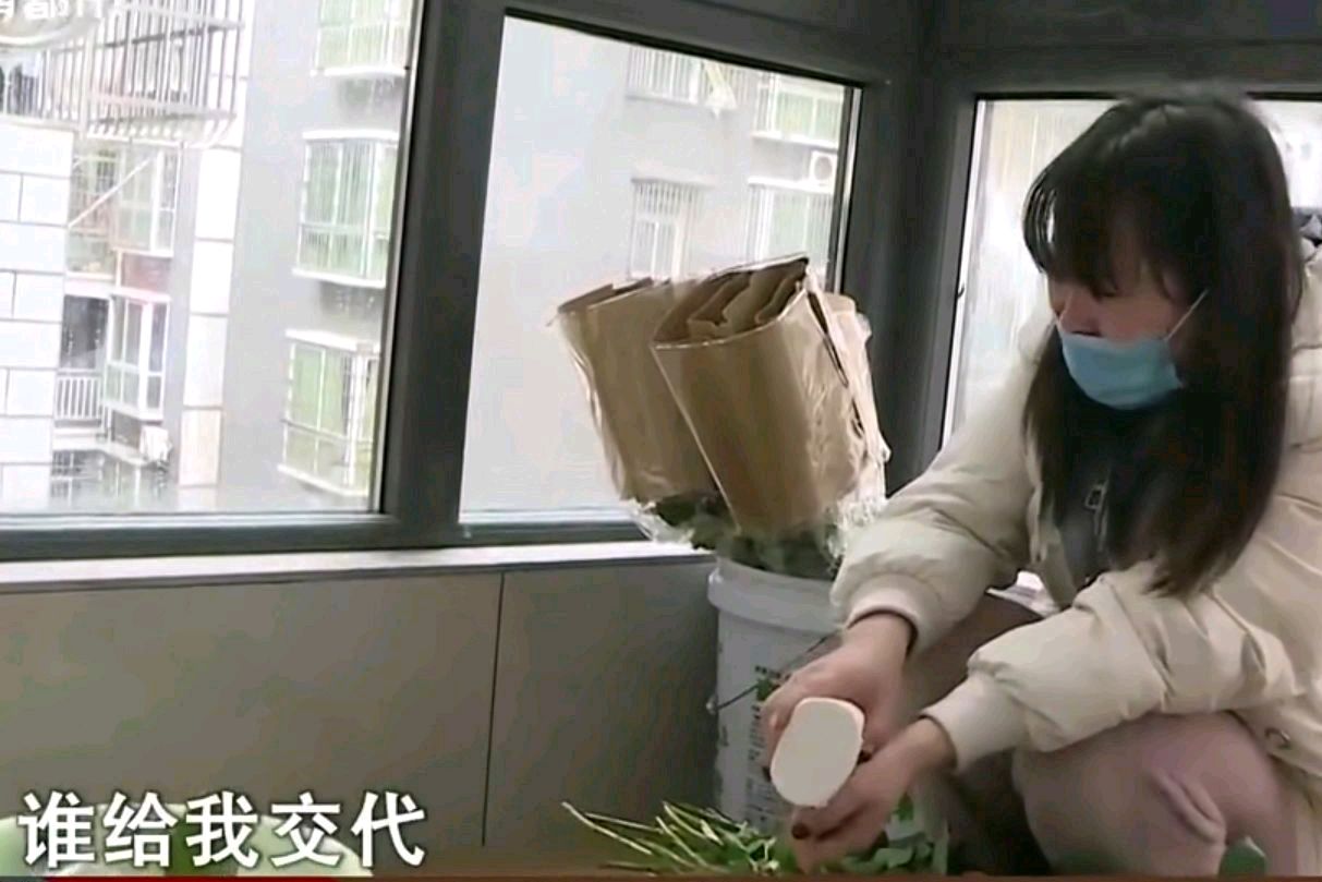 儿媳妇“打”了公公，婆婆逼小夫妻离婚：儿子的态度戳痛妈妈的心