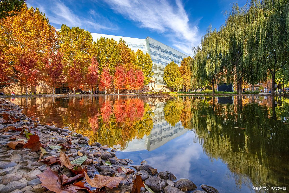 中传又变了！？新增专业和新考纲分学院的详细解读来了