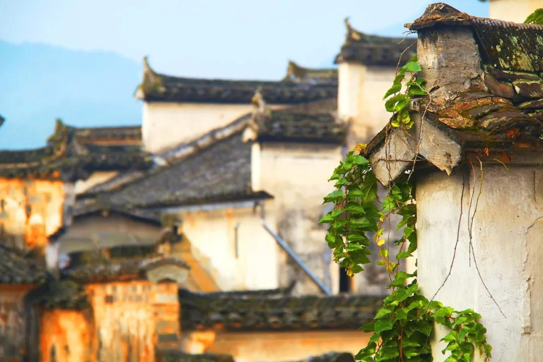3月最值得去的绝美旅行地,是时候安排一下自己的旅行清单啦