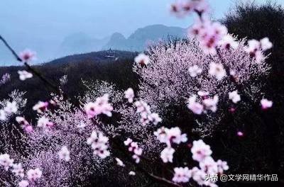 「文配音」现代诗 读春（外二首古体诗词）｜子木