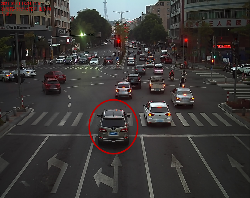 交通违法曝光！