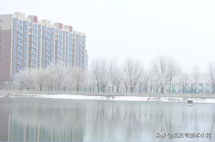 沧州师范学院：招生比2020年招生减少了200人