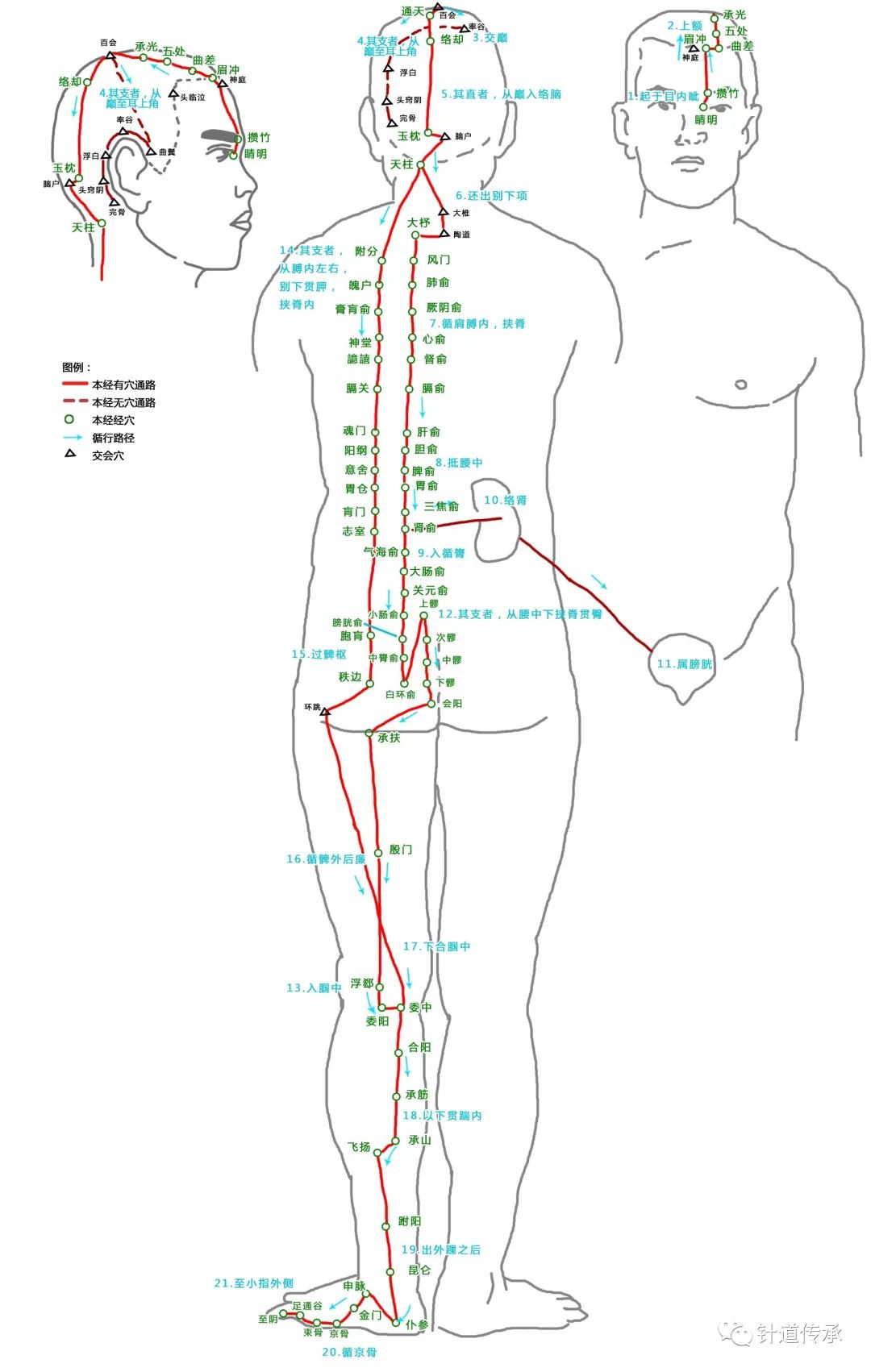 十二经脉循行图,十二经脉循行图及位置视频