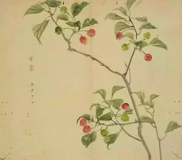 《诗经》太熟悉了吧,但《诗经》里的这些字,你认识吗?
