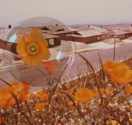 大学生副业兼职推荐，亲身经历分享