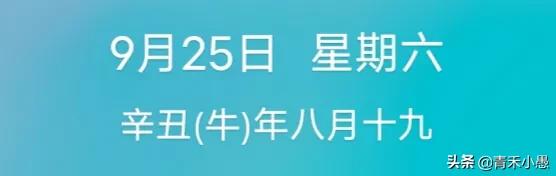 输出学习day6: 如何巧立框架，让文章的「结构」活起来？