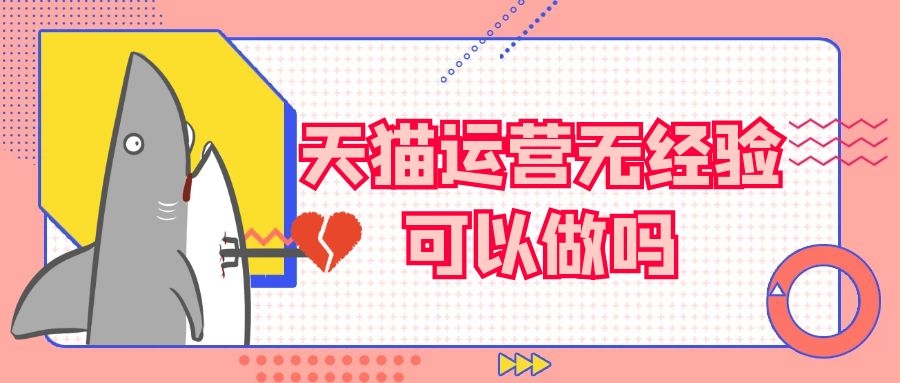 天猫运营无经验可以做吗？