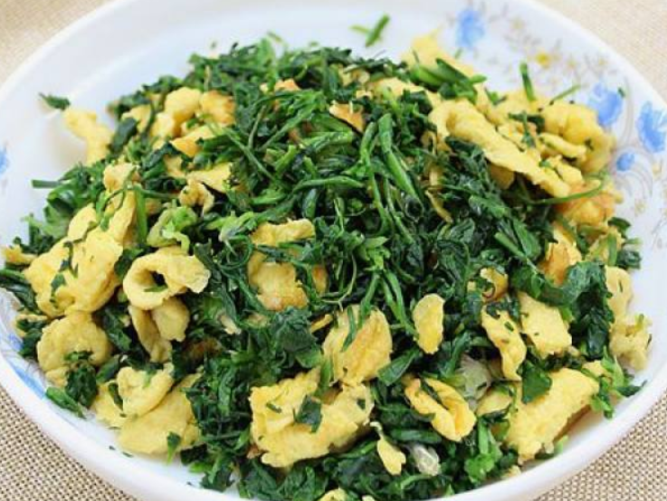 蒲公英炒鸡蛋「春末夏初,遇到这个菜别错过,和鸡蛋一炒软嫩鲜香,比肉