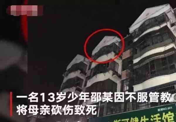 13岁少年弑母，邻居透露了一个关键细节