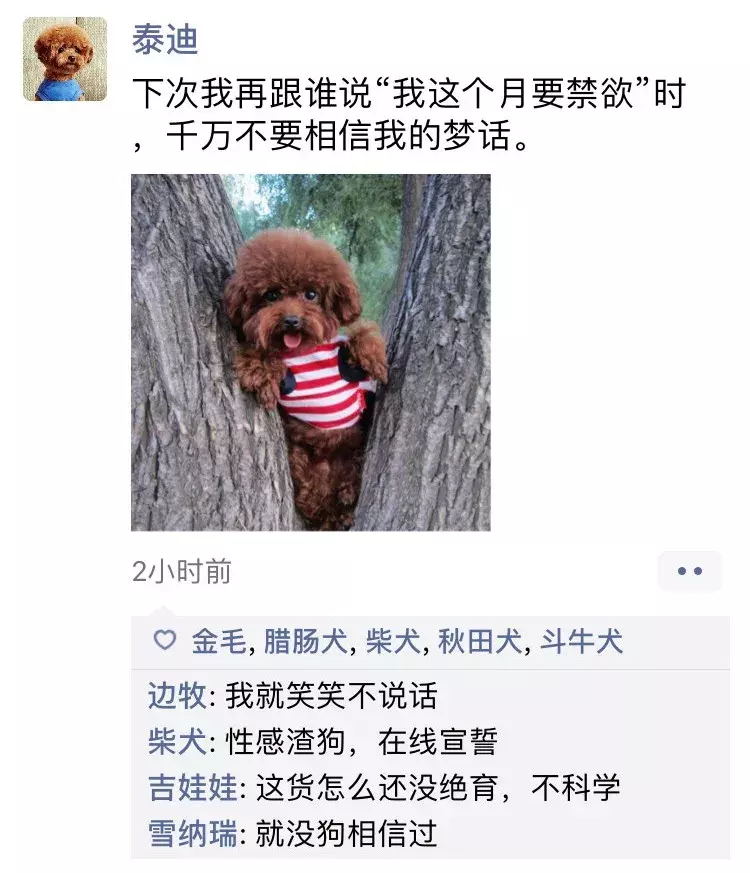 如果狗狗会发朋友圈，是什么样子？