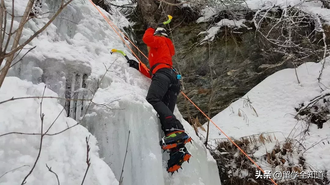 李嫣13岁留学瑞士，一年学费84万人民币｜留学真的越贵越好吗？
