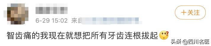 智齿到底要不要拔？一次拔几颗？什么时候拔？终于讲清楚了