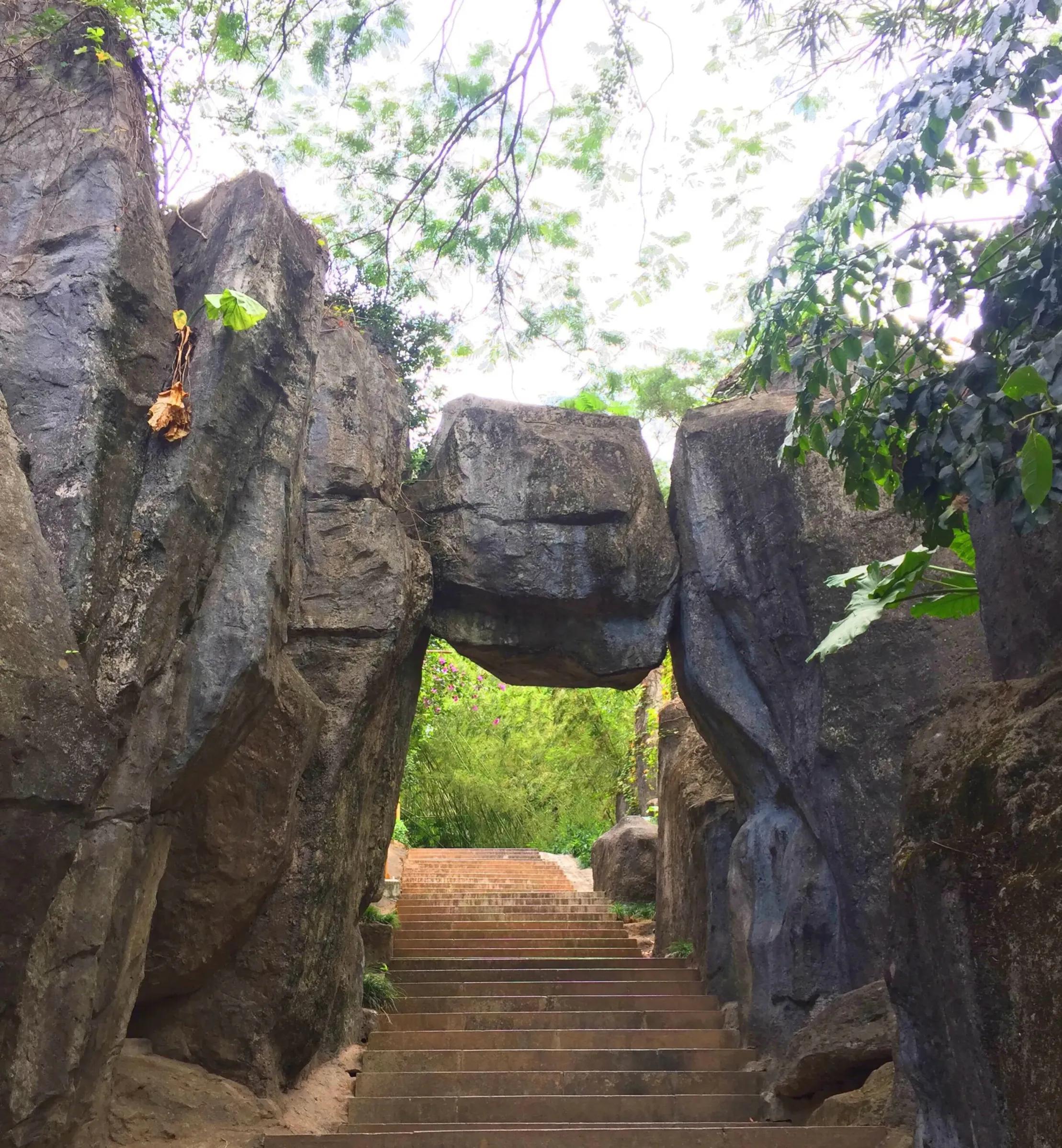 不容错过，深圳各有特色免费的十大主题公园