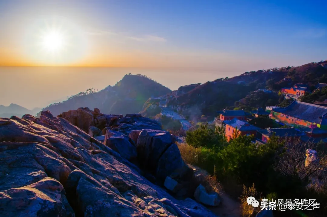 深秋泰山：一年好景君须记，最是橙黄橘绿时