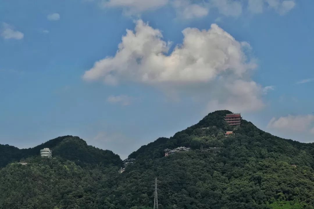 重庆最高峰（重庆冷知识最高的山峰在哪里）