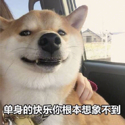 单身表情包合集｜单身万岁