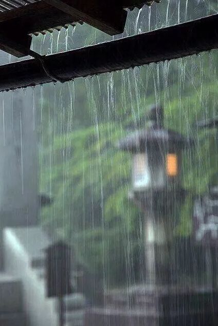 「诗词鉴赏」在夏日中听雨，唯美一段又一段的时光