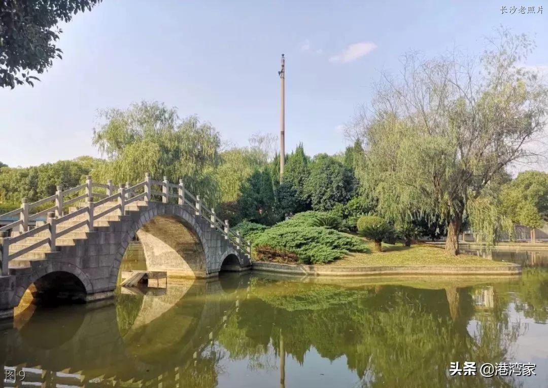 湖南农业大学老照片：思源馆，生命科学楼，红枫马路，图书馆