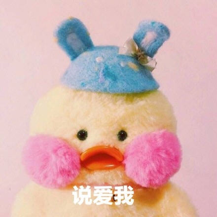 迷你腮红小黄鸭表情包合集|人家超可爱