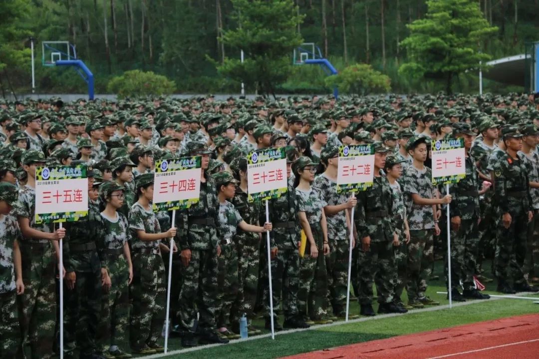 高职高考必看｜全面了解广东职业技术学院