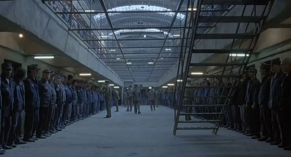 关于菜鸟动作的电影 - 好技术常识经验网