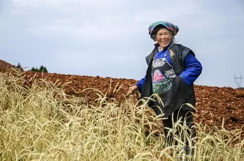 凹凸有致是什么意思(农村俗语“男凹女凸，不寡就孤”，什么意思？凹凸分别指的是啥？)