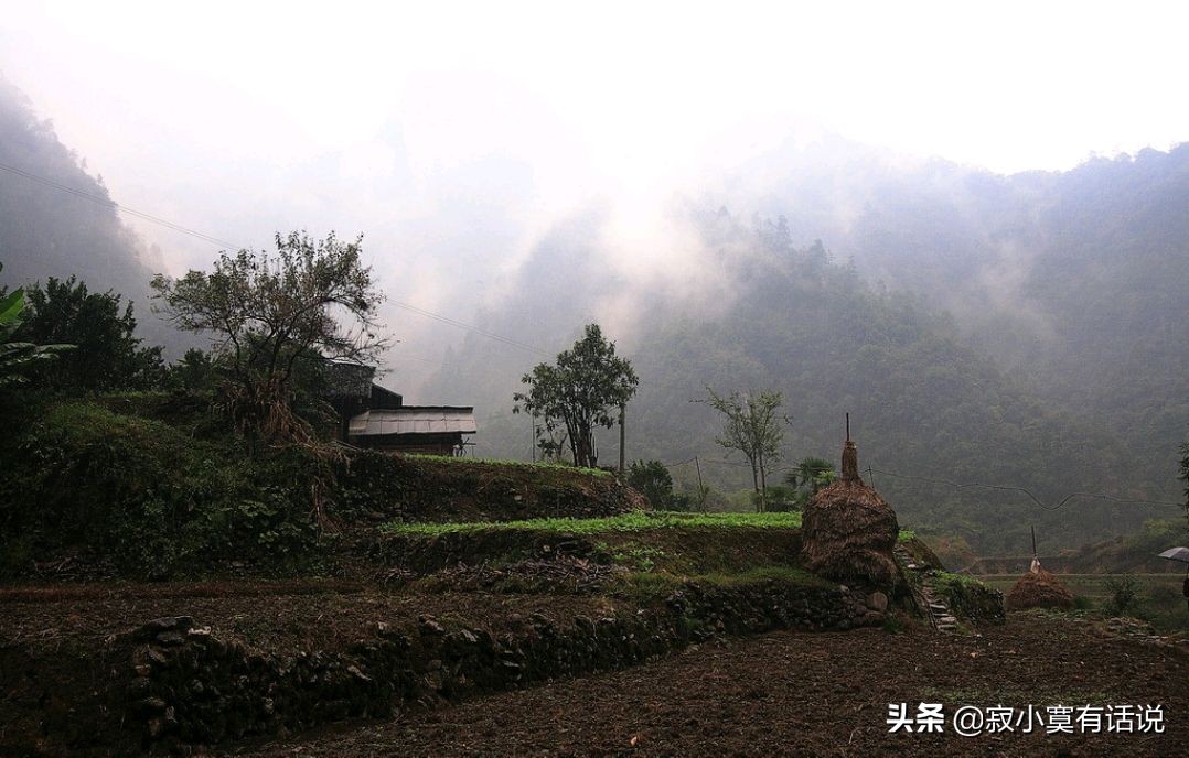 雨中的秋天（慢慢品读）