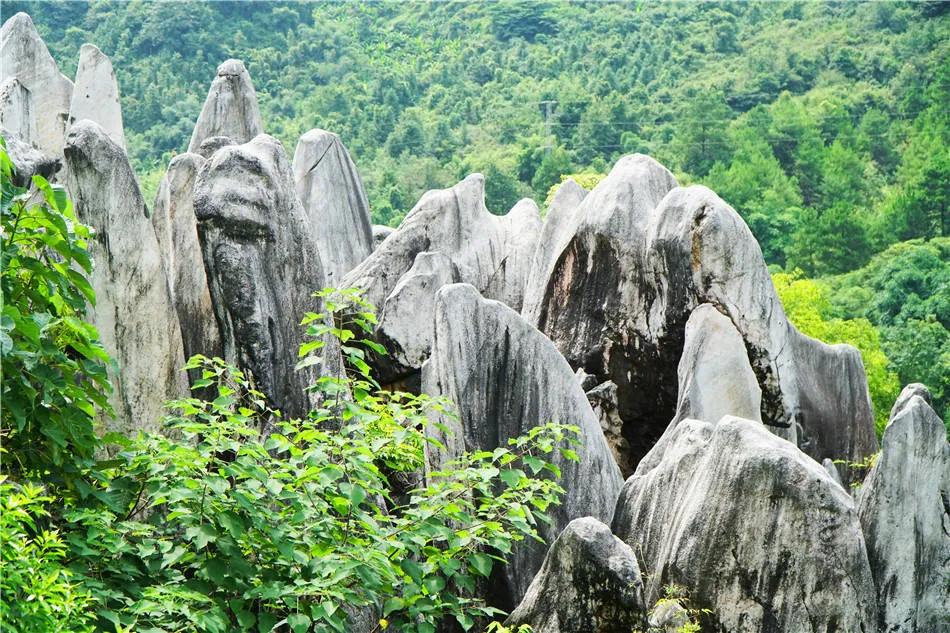 广西：贺州，玉石林，天造地设的汉白玉地质奇观
