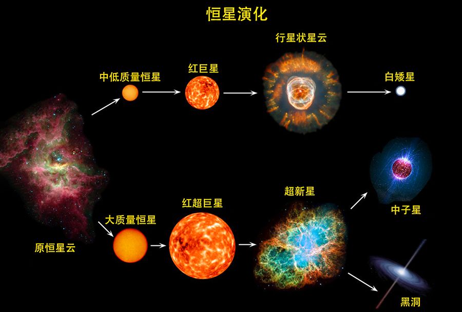 这三种元素在宇宙中非常罕见，但生命不能没有它们