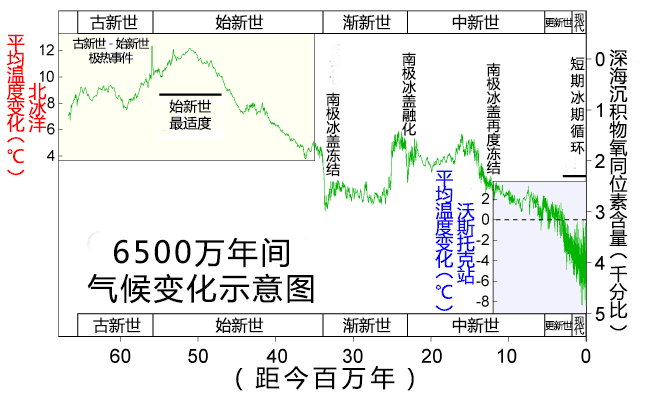 世界上最大的蛇，泰坦蟒是已知最大的蛇