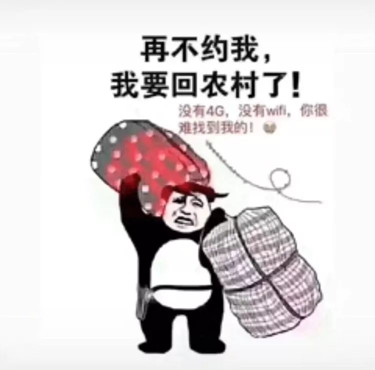 表情包：再不约我，我可要回家过年了