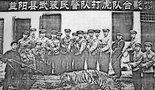 黑龙江一头牛被老虎咬死！袭击人怎么办？人被咬死了能赔多少钱？