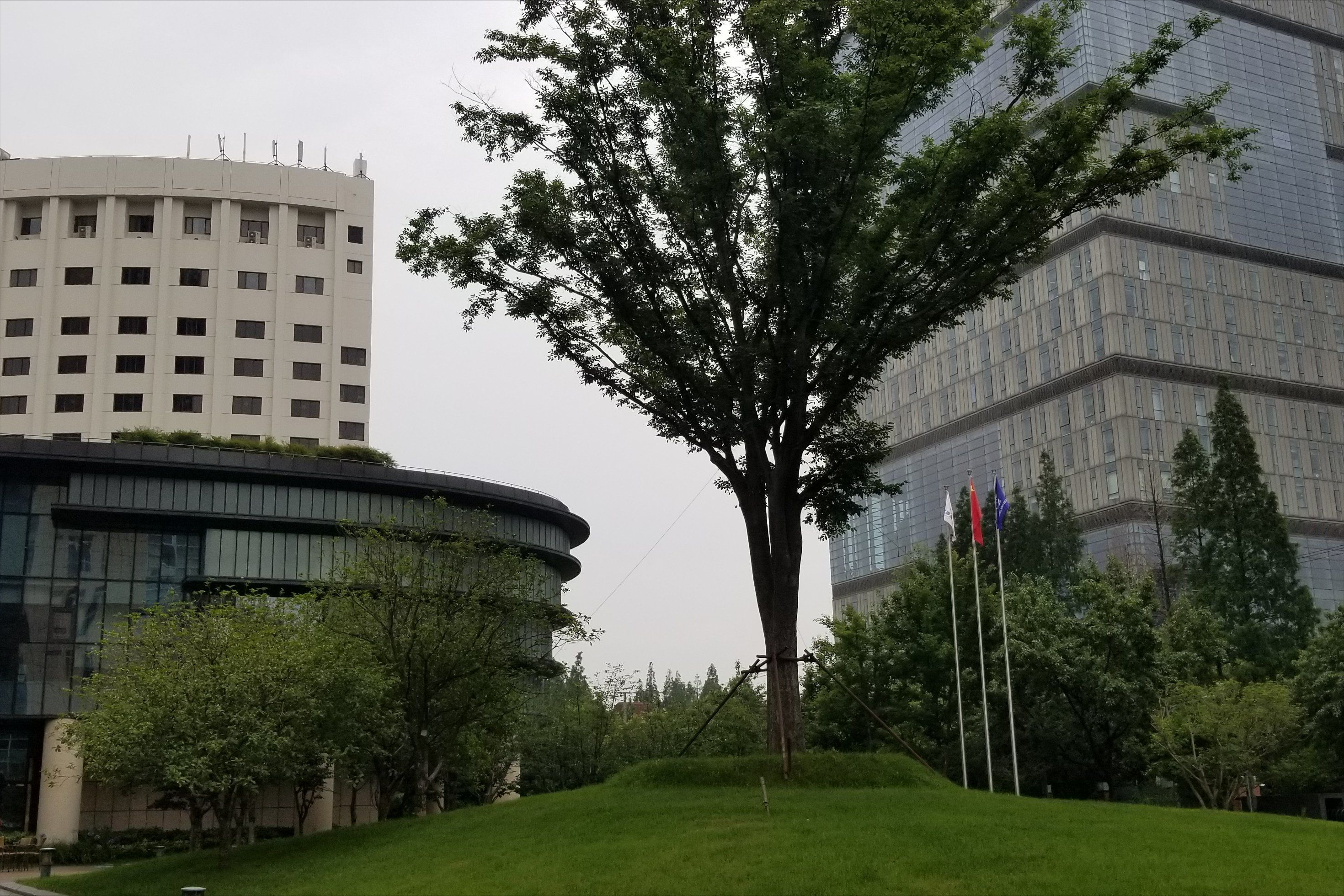 “设计之都”上海有哪些比较好的设计院？上海著名设计企业介绍