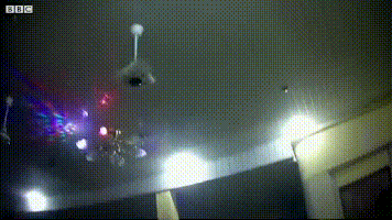 卧底西非大学“性侵俱乐部”：用身体换学历，她们无一幸免