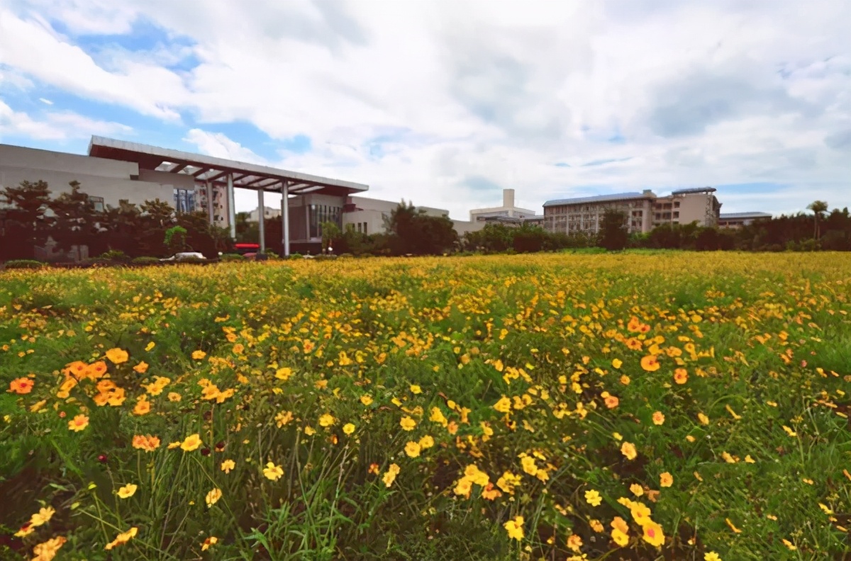 综合实力跃升全国前200！重庆这所高校研究成果获省部级及以上领导批示！