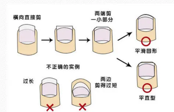 剪指甲的正确方法图片图片