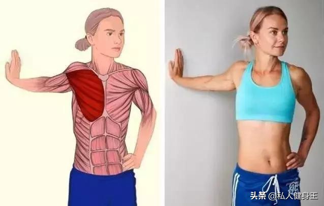 如何练出强壮的胸肌？5个动作，练出雄厚壮实的胸肌不是问题