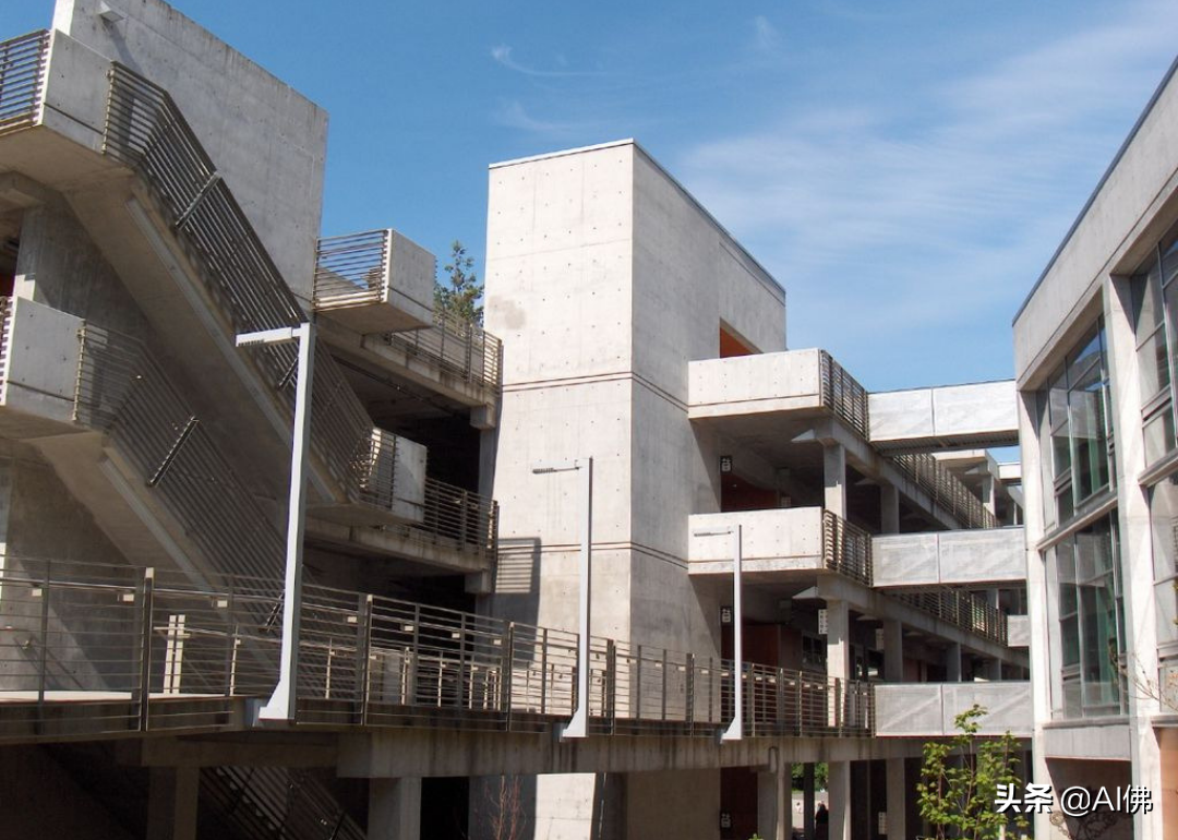 美国最自由的公立大学