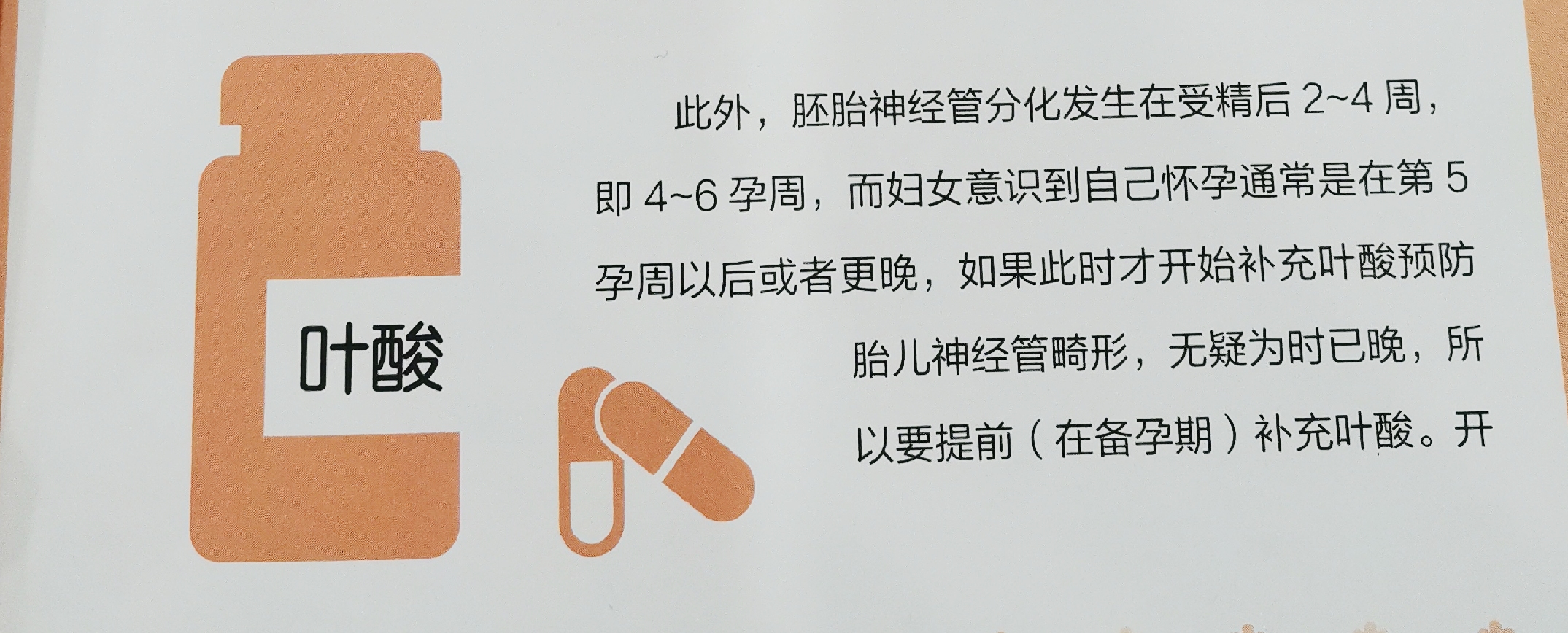怀孕前，为什么要提前3个月吃叶酸？我从书上得到了答案