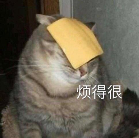 猫咪表情包合集｜我就是馋你的身子