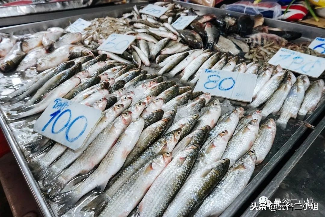 100块钱搞定一桌海鲜盛宴！BTS直达，清新小城北榄府海鲜市场