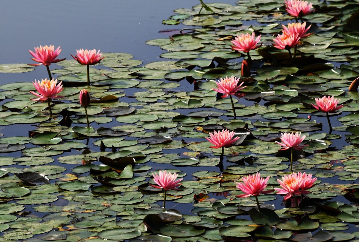 2021年浙江警察学院招生录取分数线