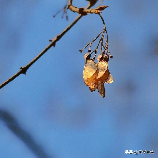 《道德经》：以条件成就结果，在小事中谋求伟大机缘