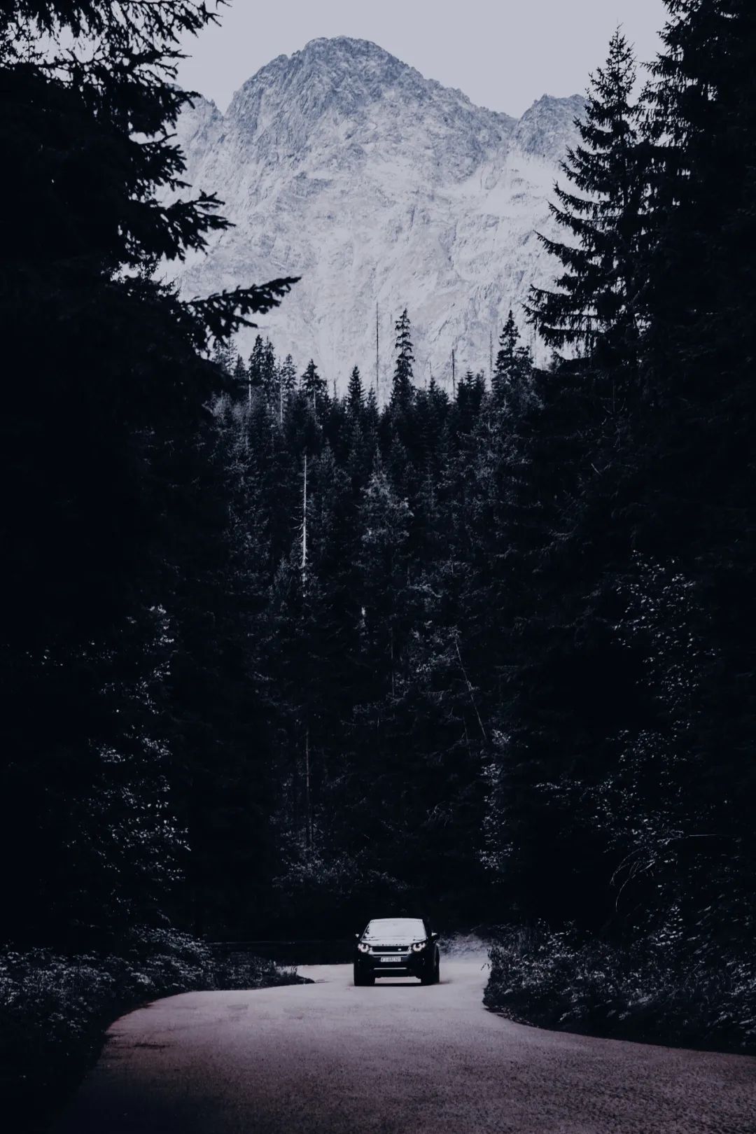 ins最新暗黑风格再来一波