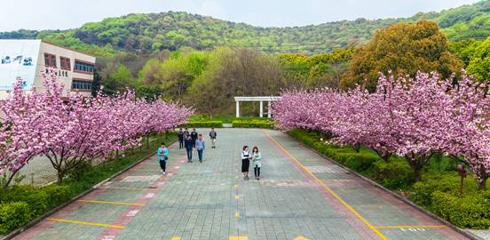 民办院校质量管理的内部保障——无锡南洋职业技术学院绩效考核