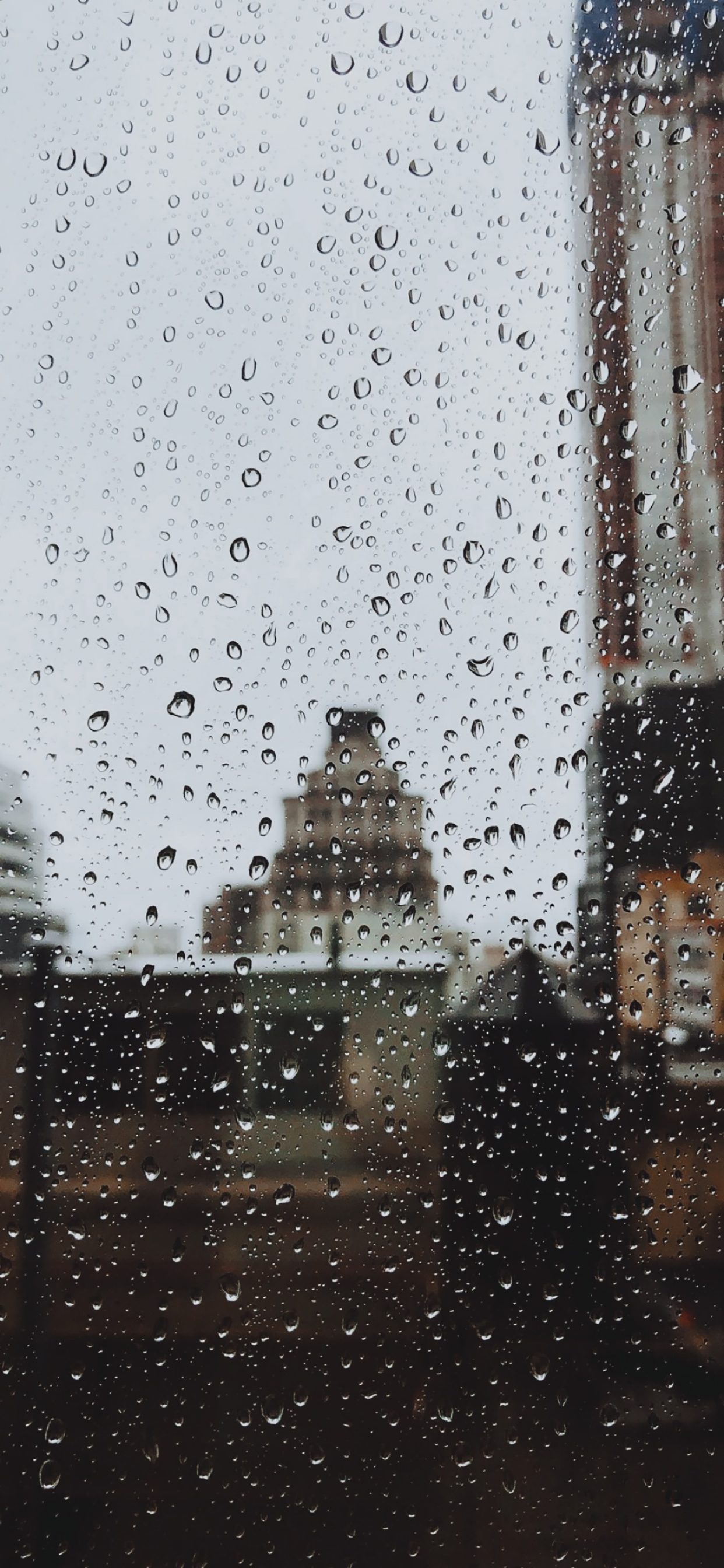 壁纸丨有些人能感受雨，而其他人只能被淋湿