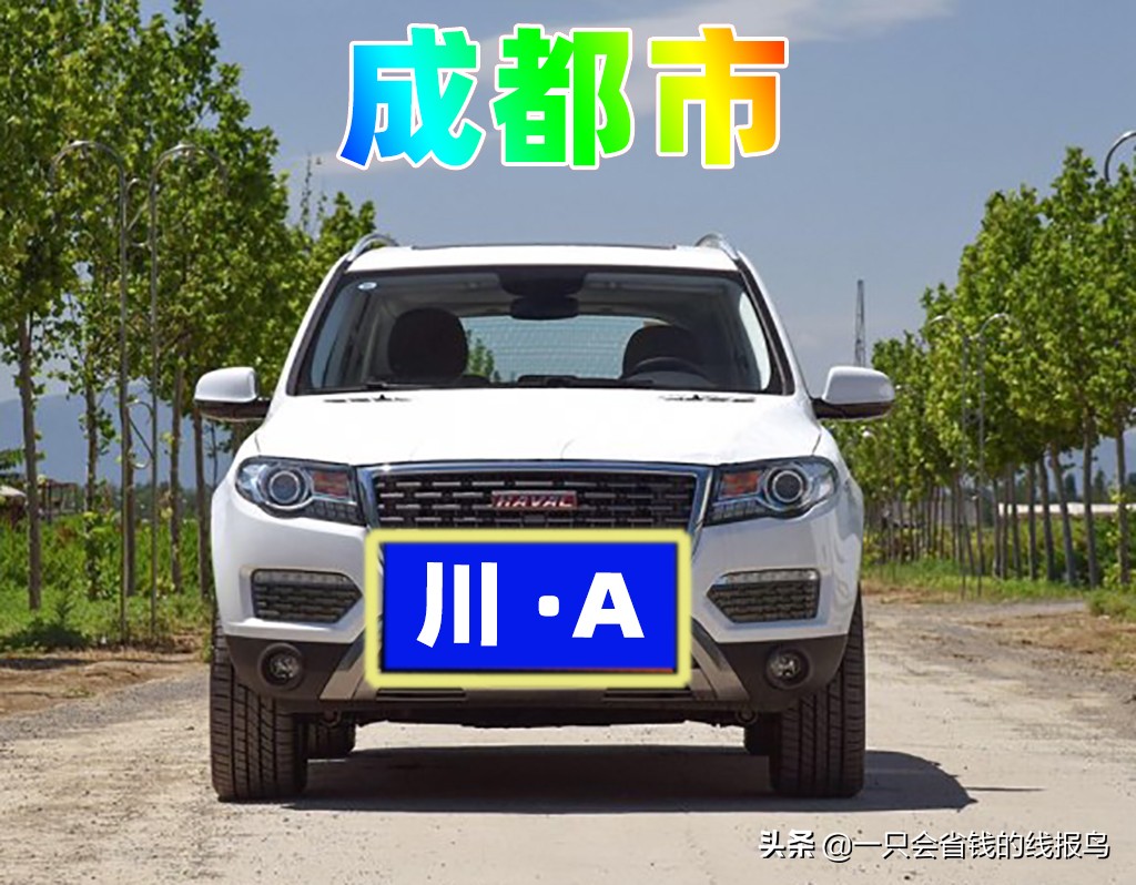 å››å·�çœ�æ±½è½¦ç‰Œç…§å&shy;—æ¯�æ�’åº�
