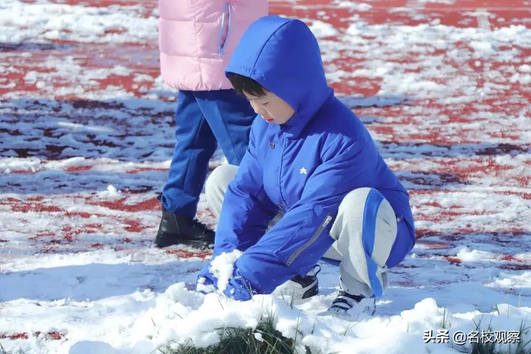 2021最美秋冬景致精彩袭来！天立校园超精彩，天光叶影共徘徊