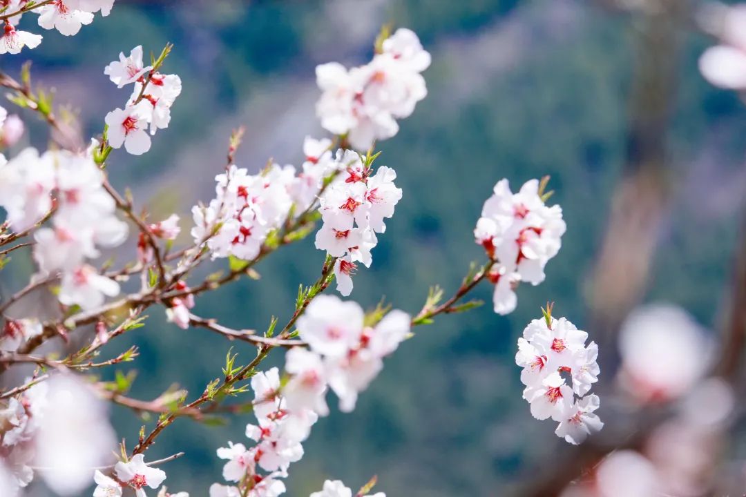 56范文（高中） | 写景散文有“三美”，用四季的味道表达独特感悟