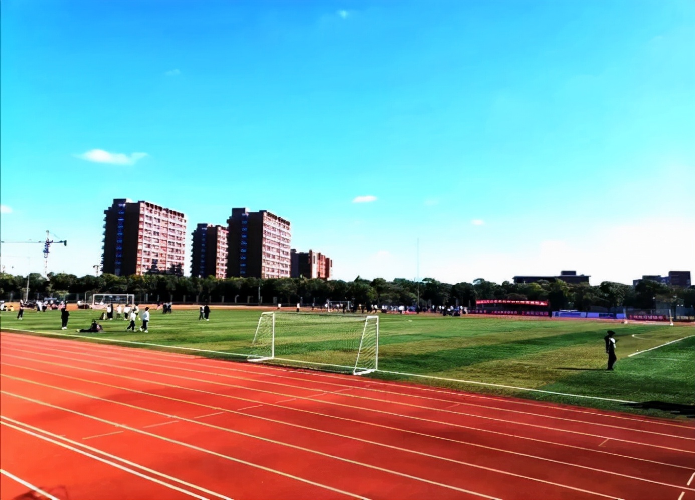 与苏炳添角逐百米赛道、横扫伊藤美诚，这些运动员都来自上海同所高校！